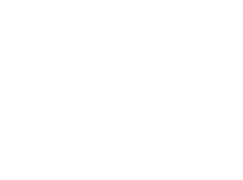 Montana State University