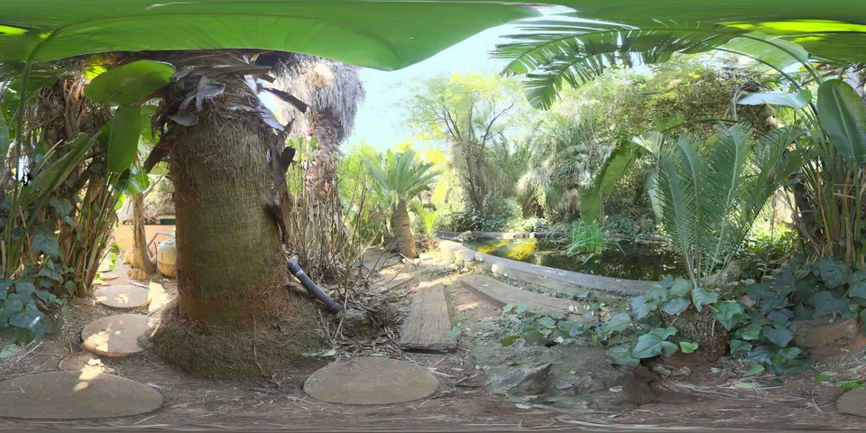 A pond and its surroundings. The whole 360 sphere of the scene unwrapped into one wide strip, as the viewer stores it.