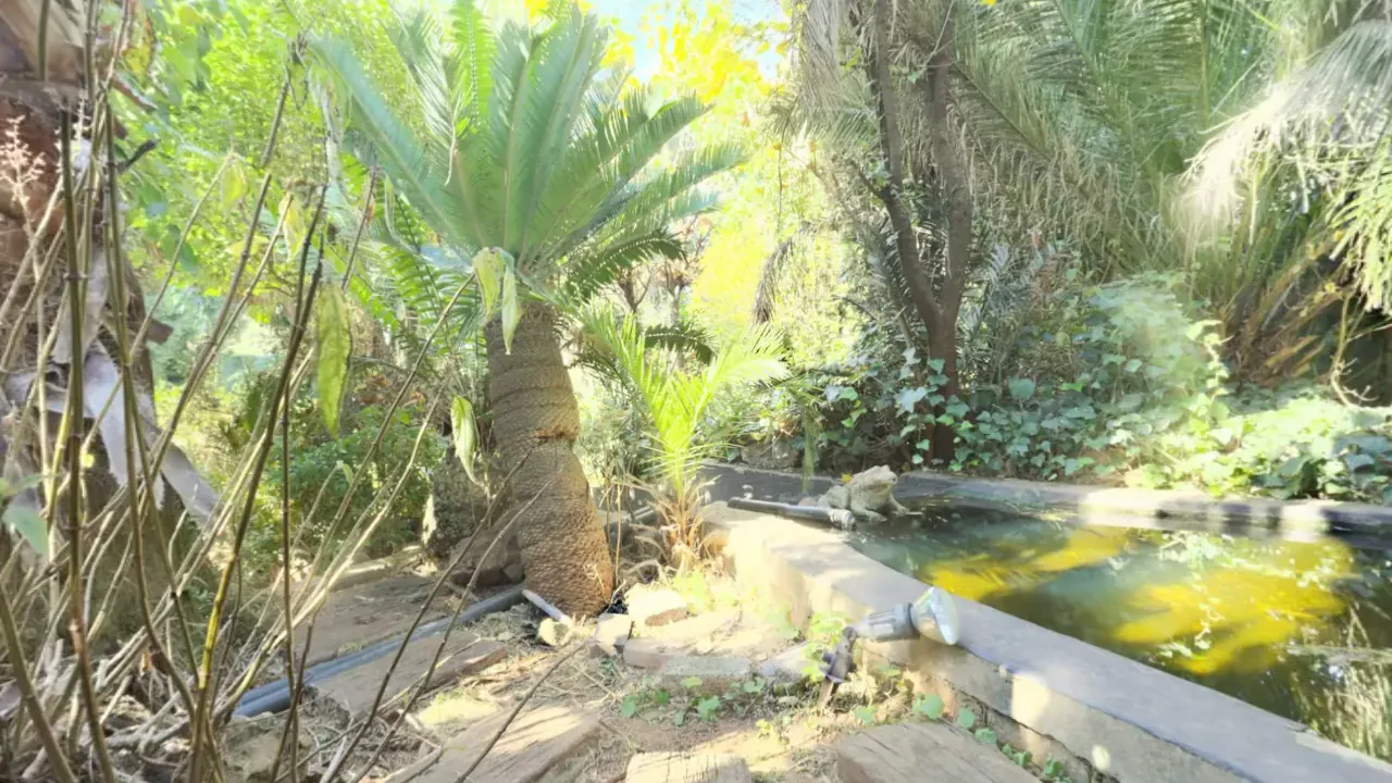 A pond and its surroundings. A looping 360 scene built as a Fast Builds 360 experience, shown flat.